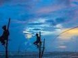 Galle Day Tour