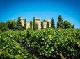 Chateauneuf du Pape wine tour