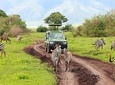 Amaizing 7 days Safari