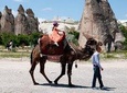 Cappadocia Camel Safari