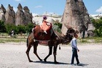 Cappadocia Camel Safari