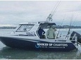 Fishing charter - Hauraki Gulf