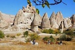 Horseback Riding Tour