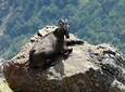 Cochin to Munnar (3 Days)