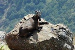Cochin to Munnar (3 Days)