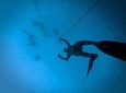 Freediving Training