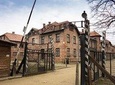 Auschwitz-Birkenau: Private Tour