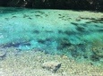 Excursion To Narni Natural Pools With Rich Refreshment - Umbria