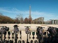 Paris: the Amazing Segway tour (Eiffel Tower and more than 20 other points of interest)
