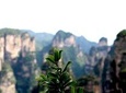 5 Days Ultimate Zhangjiajie Package Tour(Classical Boutique Hotel)
