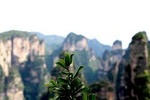 5 Days Ultimate Zhangjiajie Package Tour(Classical Boutique Hotel)