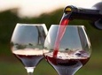 Wine Tour in Kakheti, Telavi town, Georgia 