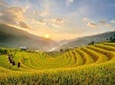 2 Day 1 Night Trek