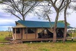 Best of Tanzania 5 Days Tented Camp Safari