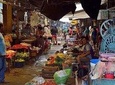 Belen Market,Manatees, Quistococha zoo