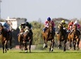 Kenilworth Raceday Tour