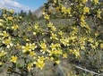 South Okanagan Desert Tour 