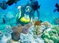 Shared Tour Nha Trang Island Hopping By SpeedBoat Plus Diving