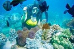 Shared Tour Nha Trang Island Hopping By SpeedBoat Plus Diving