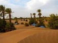 Desert tour from marrakech to Zagora and Draa valley palm grove