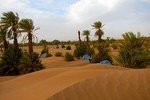 Desert tour from marrakech to Zagora and Draa valley palm grove