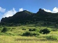 Explore The Wild South of Mauritius