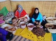 Argan Forest, tea time at a Berbers family & Visit of an Argan cooperative.