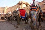 7 Day Delhi Agra Jaipur Jodhpur Udaipur Tour(Taj Mahal at Sunset/Sunrise)