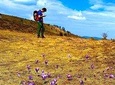Wildflowers of Romania Day Hike from Cluj