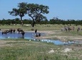 3 Day Chobe National Park Camping Tour