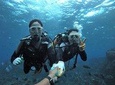 Blue cave experience diving! 【Okinawa Prefecture】 Feeding & photo images free! English, Chinese, Korean guide available! 1 group with a dedicated instructor ☆