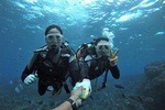 Blue cave experience diving! 【Okinawa Prefecture】 Feeding & photo images free! English, Chinese, Korean guide available! 1 group with a dedicated instructor ☆