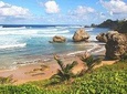 Barbados Private Custom Island Tour