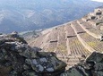 Douro Valley Hike&Picnic