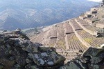 Douro Valley Hike&Picnic