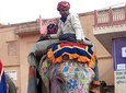 8 Day Delhi Agra Jaipur Jodhpur Udaipur Tour(Taj Mahal at Sunset/Sunrise)