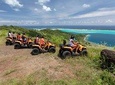 Bora Bora Quad Tours in ATV