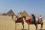 Sunset camel ride at the pyramids and pyramids sound and light show