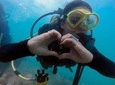 Private Program for Accredited Diver in Búzios