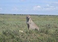 10 days Kilimanjaro 360 Via Northen Circuit.