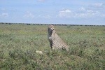 10 days Kilimanjaro 360 Via Northen Circuit.