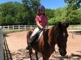 Horseback Riding and Wine Tours