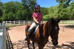 Horseback Riding and Wine Tours