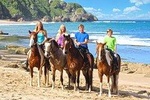Horseback Riding On Secluded Beaches, Tropical Forests, And More...