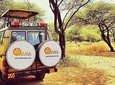 5 days Safari to Tarangire, Ngorongoro, Serengeti and Lake Manyara