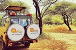 5 days Safari to Tarangire, Ngorongoro, Serengeti and Lake Manyara