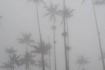 Bird-hiking: a new way to discover Cocora