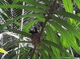 Bird Watching Tours