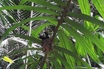 Bird Watching Tours