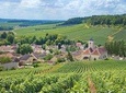 Champagne Tour